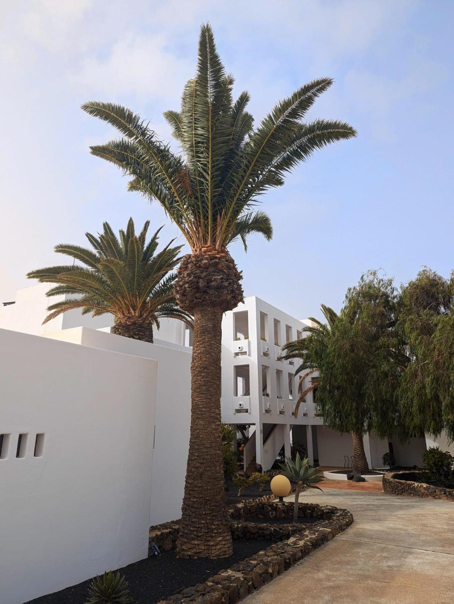Charming Flat In Los Molinos With Terrace & Pools, Near Playa Bastian コスタ・テギセ エクステリア 写真